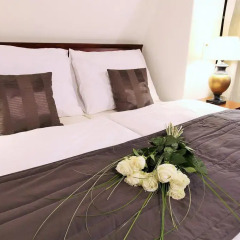 Отель Necton Prague Castle Apartments Чехия, Прага - отзывы, цены и фото номеров - забронировать отель Necton Prague Castle Apartments онлайн комната для гостей фото 5