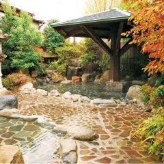 Отель Mochiduki Ryokan Минамиогуни