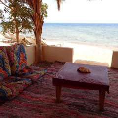 Отель Bedouin Star 2* Стандартный номер с различными типами кроватей фото 4