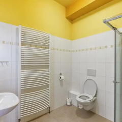 Отель Penzion U Salzmannu 3* Стандартный номер фото 5