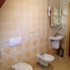 Hotel Zlaty Lev 4* Люкс фото 7