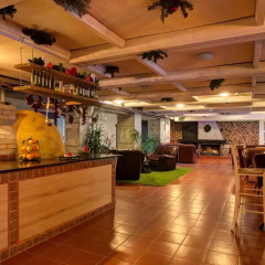 Отель Flora hotel Болгария, Боровец - отзывы, цены и фото номеров - забронировать отель Flora hotel онлайн гостиничный бар