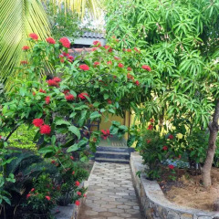 Traveller's Home Hotel фото 15