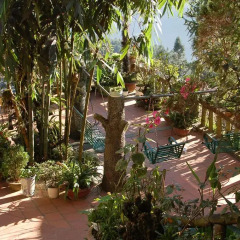 Отель Cat Cat View Вьетнам, Шапа - отзывы, цены и фото номеров - забронировать отель Cat Cat View онлайн фото 8