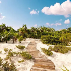 Отель The Shore Club Turks & Caicos