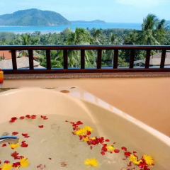 Отель Mangosteen Ayurveda & Wellness Resort 4* Президентский люкс с двуспальной кроватью фото 11