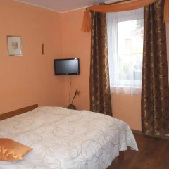 Отель Penzion Villa Marion комната для гостей фото 3