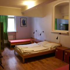 Frolic Goats Hostel Стандартный номер с различными типами кроватей фото 6