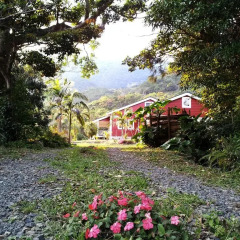 Отель Cottage HANA MANA Япония, Якусима - отзывы, цены и фото номеров - забронировать отель Cottage HANA MANA онлайн фото 14