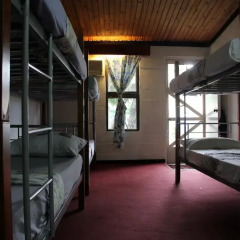 Отель Bamboo Backpackers Кровать в женском общем номере фото 3