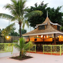 The Jamaica Pegasus Hotel бассейн фото 2