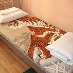 Elizabeth's Youth Hostel Кровать в общем номере с двухъярусной кроватью фото 15