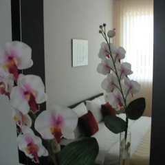Апартаменты Yanis Apartment In Hermes Complex Солнечный берег спа