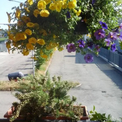Отель La Casa di Ortensia Парма фото 2