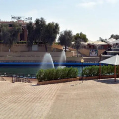 Отель One to One Hotel & Resort Ain Al Faida ОАЭ, Эль-Айн - отзывы, цены и фото номеров - забронировать отель One to One Hotel & Resort Ain Al Faida онлайн фото 3