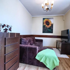 Отель Zakosunflower Закопане удобства в номере
