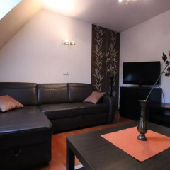 Отель Apartamenty Tetmajera Закопане комната для гостей фото 3