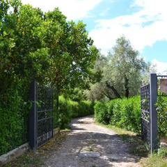 Отель La Casa Rosa Кастаньето-Кардуччи фото 3