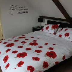 Отель Orillia House B&B & Holiday Cottages 3* Стандартный номер с различными типами кроватей фото 2