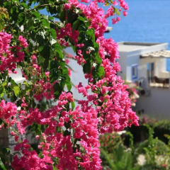 Отель Aktur Residence фото 3