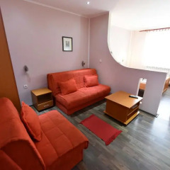 Апартаменты Apartments & Accommodation Stojic Нови Сад комната для гостей фото 4