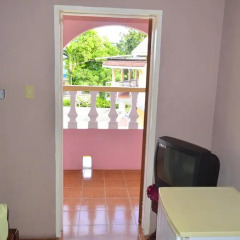 Отель Little Shaw Park Guest House 2* Стандартный номер с различными типами кроватей фото 6