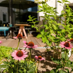 Отель Motel One München City West Германия, Мюнхен - отзывы, цены и фото номеров - забронировать отель Motel One München City West онлайн