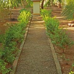 Отель Heina Nature Resort & Yala Safari 2* Шале с различными типами кроватей фото 38