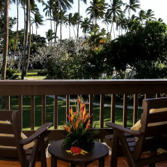 Отель The Naviti Resort 4* Стандартный номер с различными типами кроватей