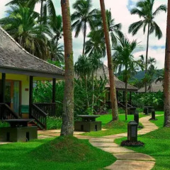 Отель The Naviti Resort Фиджи, Вити-Леву - отзывы, цены и фото номеров - забронировать отель The Naviti Resort онлайн фото 8
