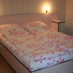 Отель Bolyarski Stan Guest House Шумен комната для гостей фото 2