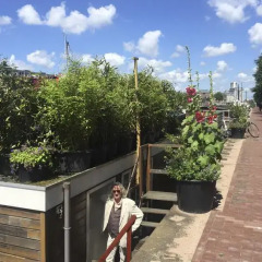 Отель Houseboat Westerdok Нидерланды, Амстердам - отзывы, цены и фото номеров - забронировать отель Houseboat Westerdok онлайн фото 2