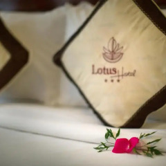 Lotus Hoi An Boutique Hotel & Spa 4* Улучшенный номер фото 4