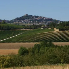 Отель Agriturismo al Colle Бертиноро