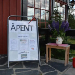 Отель Skjerdingen Høyfjellshotel фото 10