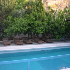 Girgin Artemis Pension Турция, Сельчук - отзывы, цены и фото номеров - забронировать отель Girgin Artemis Pension онлайн бассейн