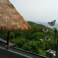 Отель Horizon Luxury Pool Villas Koh Tao Таиланд, Остров Тау - отзывы, цены и фото номеров - забронировать отель Horizon Luxury Pool Villas Koh Tao онлайн балкон
