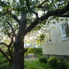 Отель B&B Tavlan Швеция, Карлстад - отзывы, цены и фото номеров - забронировать отель B&B Tavlan онлайн