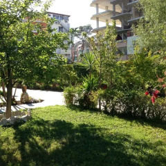 Отель Red Rose Guest house