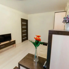 Гостиница Appartments on Karla Marksa в Сыктывкаре отзывы, цены и фото номеров - забронировать гостиницу Appartments on Karla Marksa онлайн Сыктывкар комната для гостей фото 2