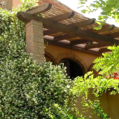 Отель Agriturismo Fattoria La Prugnola Монтескудаио фото 17