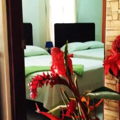 Hotel & Hostal Yaxkin Copan 2* Стандартный семейный номер с двуспальной кроватью фото 4