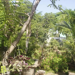 Отель Trust Homestay Villa фото 2