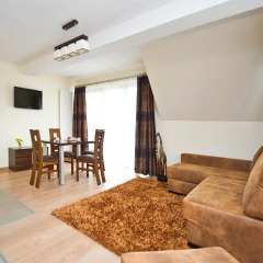 Отель Apartamenty Viva Tatry Польша, Закопане - отзывы, цены и фото номеров - забронировать отель Apartamenty Viva Tatry онлайн комната для гостей фото 4