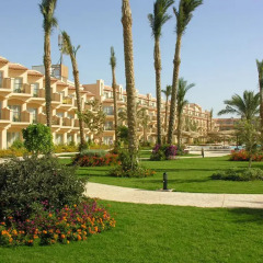 Отель Pyramisa Sahl Hasheesh Resort 5* Стандартный номер с различными типами кроватей фото 2