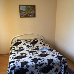 Гостиница Na Kropotkina Guesthouse в Краснодаре 3 отзыва об отеле, цены и фото номеров - забронировать гостиницу Na Kropotkina Guesthouse онлайн Краснодар комната для гостей фото 2