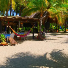 Отель Bungalows Tree Tops 5* Люкс с различными типами кроватей фото 25