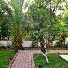Ipek Hotel Camyuva фото 23