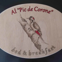 Отель Al Pic de Corone Палаццоло-делло-Стелла развлечения