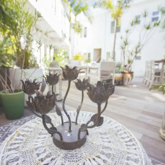 Отель Beverly Terrace США, Беверли Хиллс - 2 отзыва об отеле, цены и фото номеров - забронировать отель Beverly Terrace онлайн фото 3